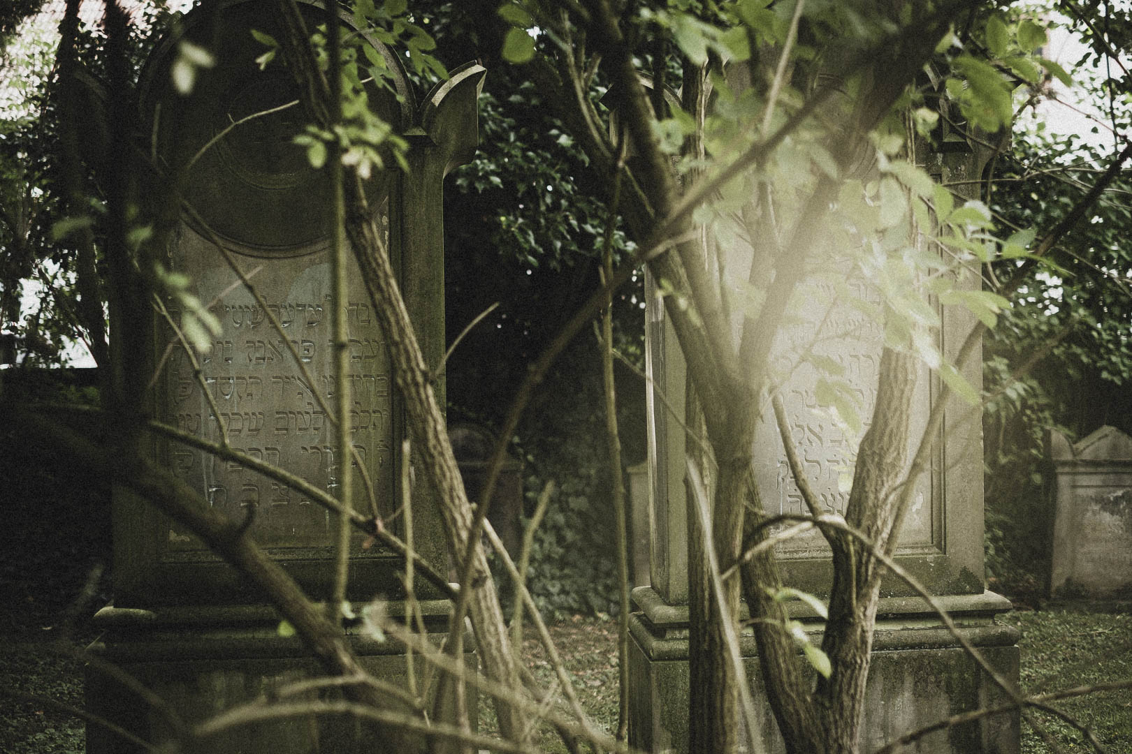 Rinteln, Jüdischer Friehof